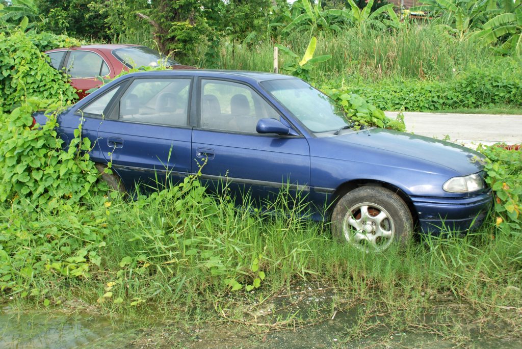 old sedan car with grass and weeds growing on it