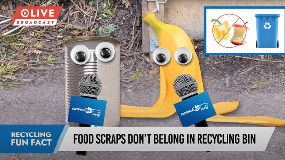 What Goes in Your Recycling Bin? screenshot