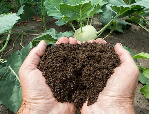 An image of Pick Up Compost & Mulch