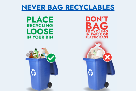 Never Bag Recyclables image