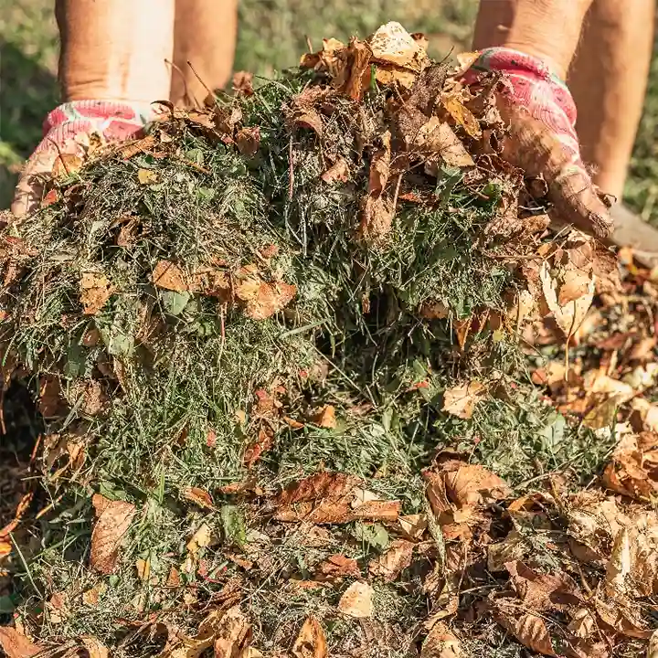 Pile of yard scraps