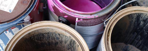 Paint and Household Toxics image